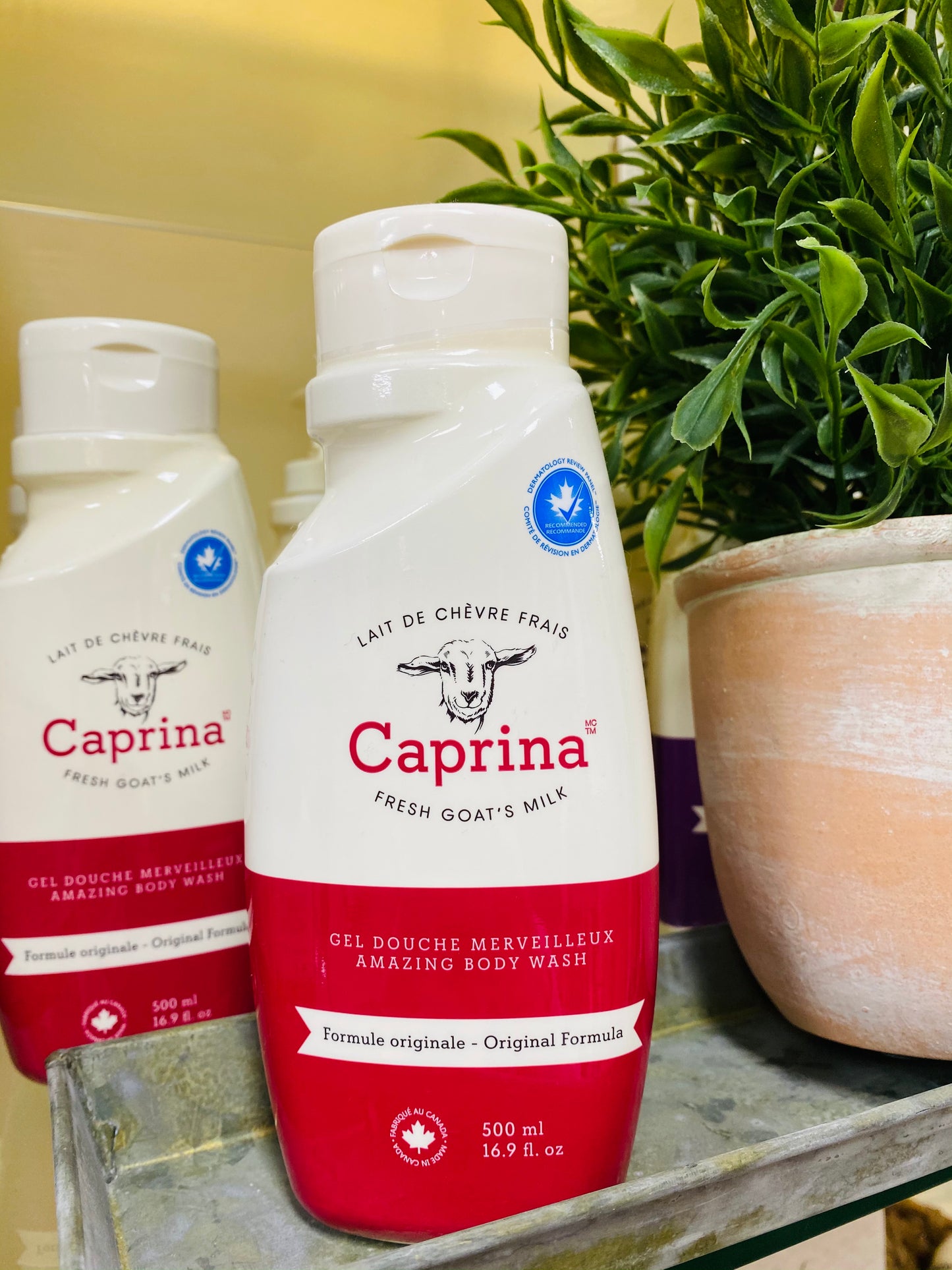 Canus Caprina Goat's Milk Bath Products